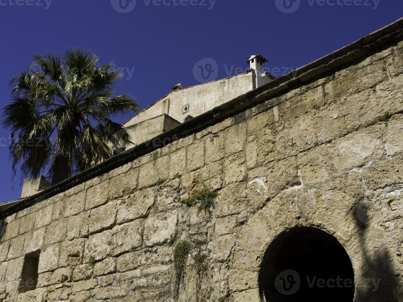 the spanish island Mallorca photo