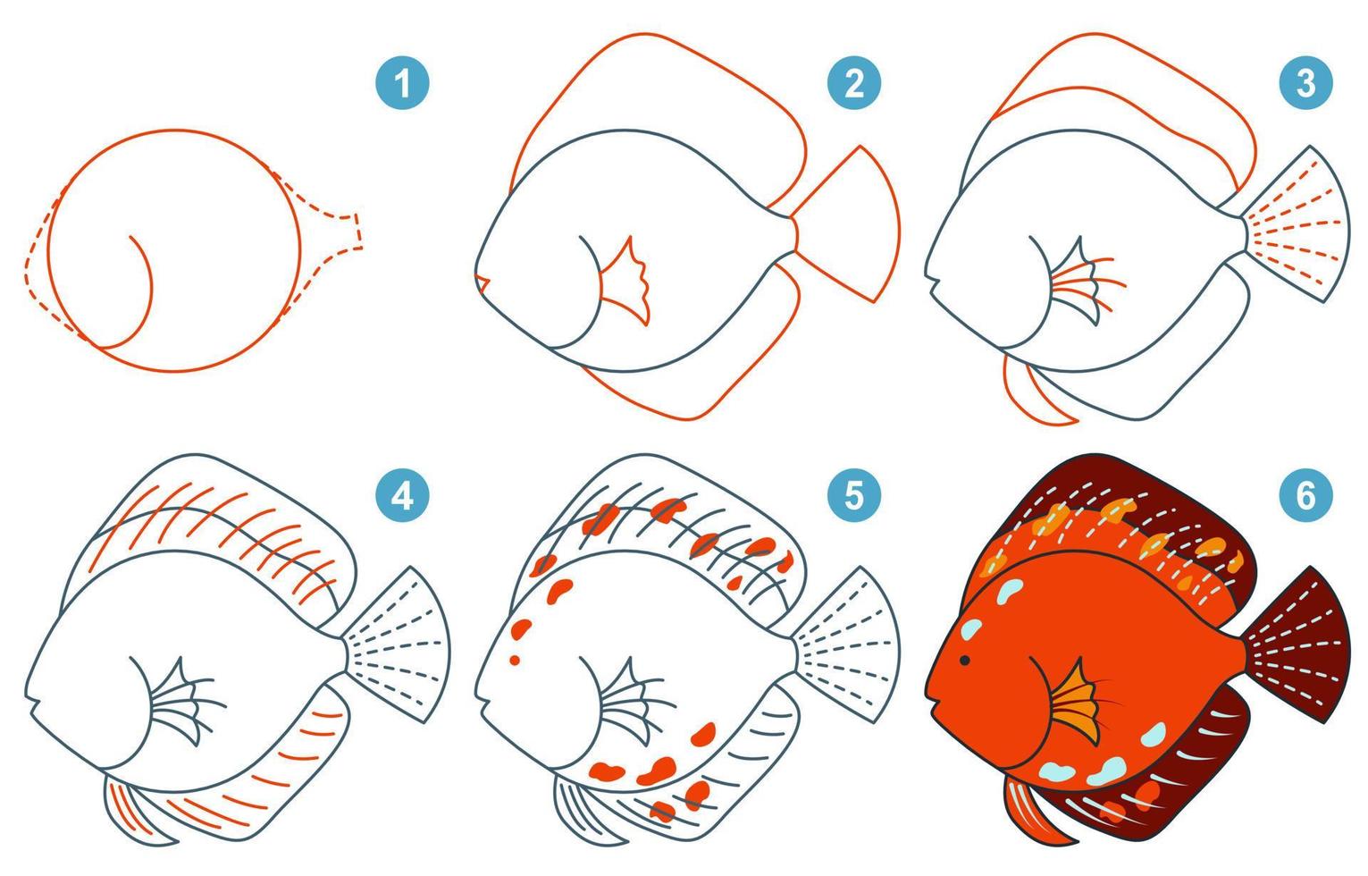 Instructions for drawing cute discus. Follow step by step for drawing discus. Worksheet for kid learning to draw aquarium fish. Game for child vector page. Scheme for drawing discus.