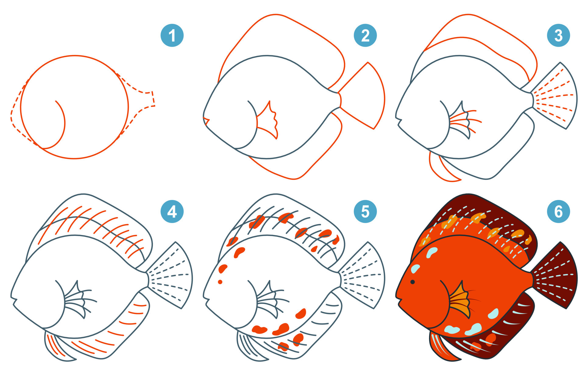 How to Draw a Tropical Fish