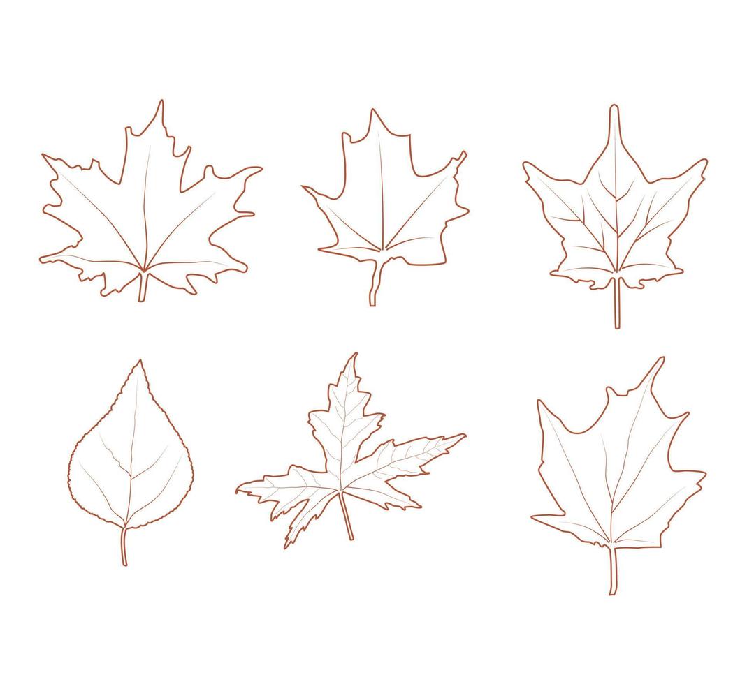 conjunto de hojas de otoño. ilustración de línea vectorial de diferentes hojas de arce y otros árboles. uso para patrones, tarjetas, elemento de diseño de afiches, paquete, publicidad. vector