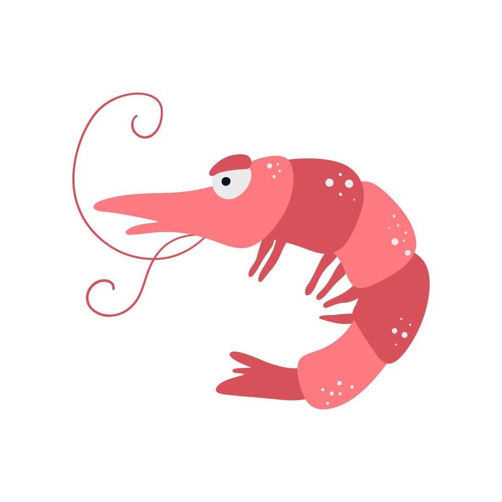 Illustration of sea shrimp on a white background vector illustration cartoon flat style