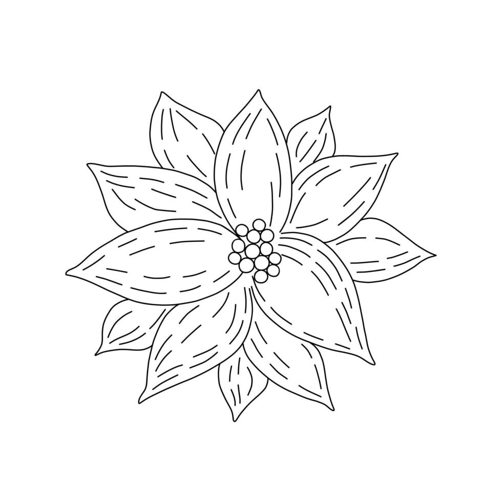 Poinsettia flower traditional winter holidays plant, simple outline vector illustration, Merry Christmas and Happy New Year seasonal festive decor for greeting cards, invitations, clipart, sticker