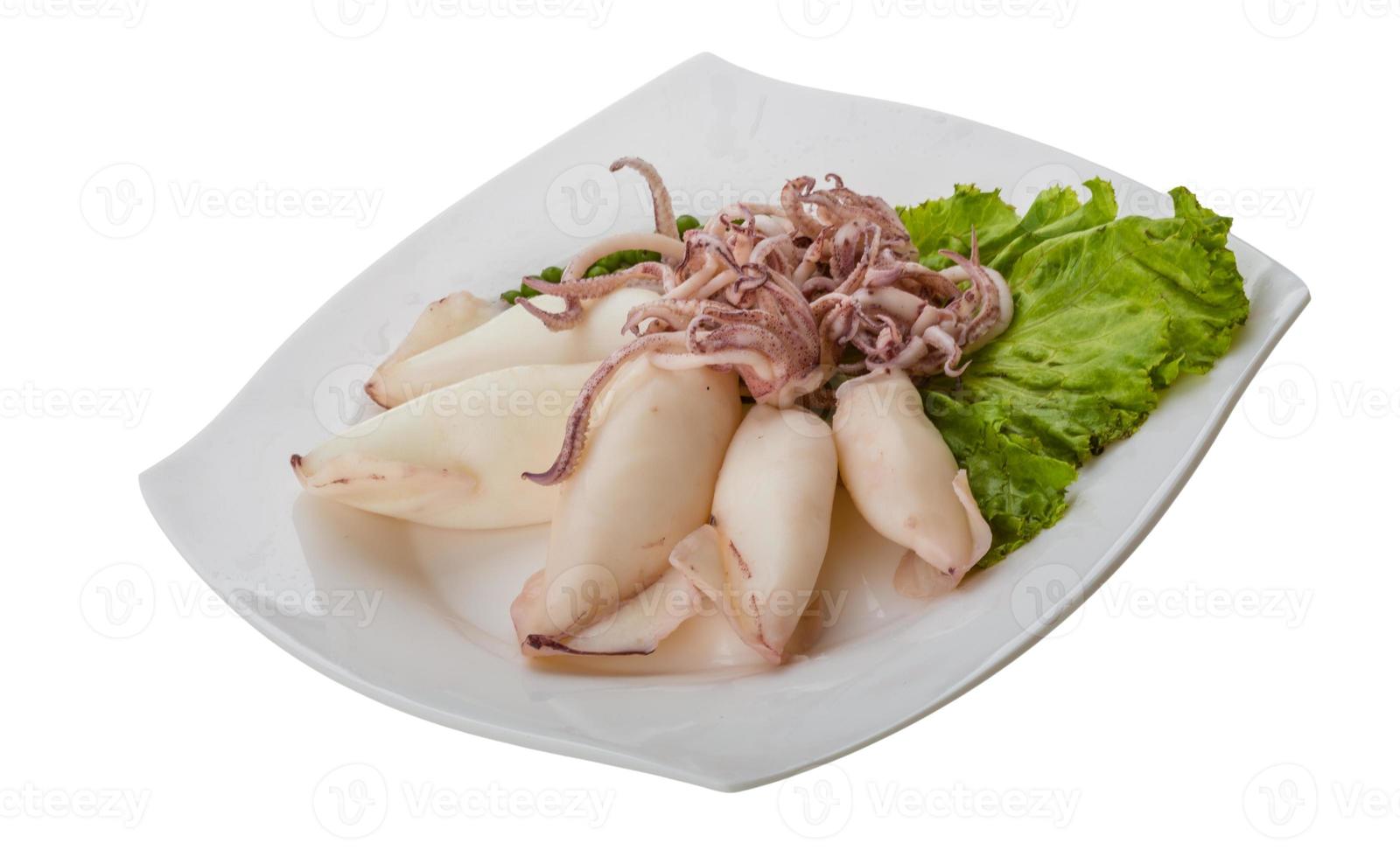Boiled squid on the plate and white background photo