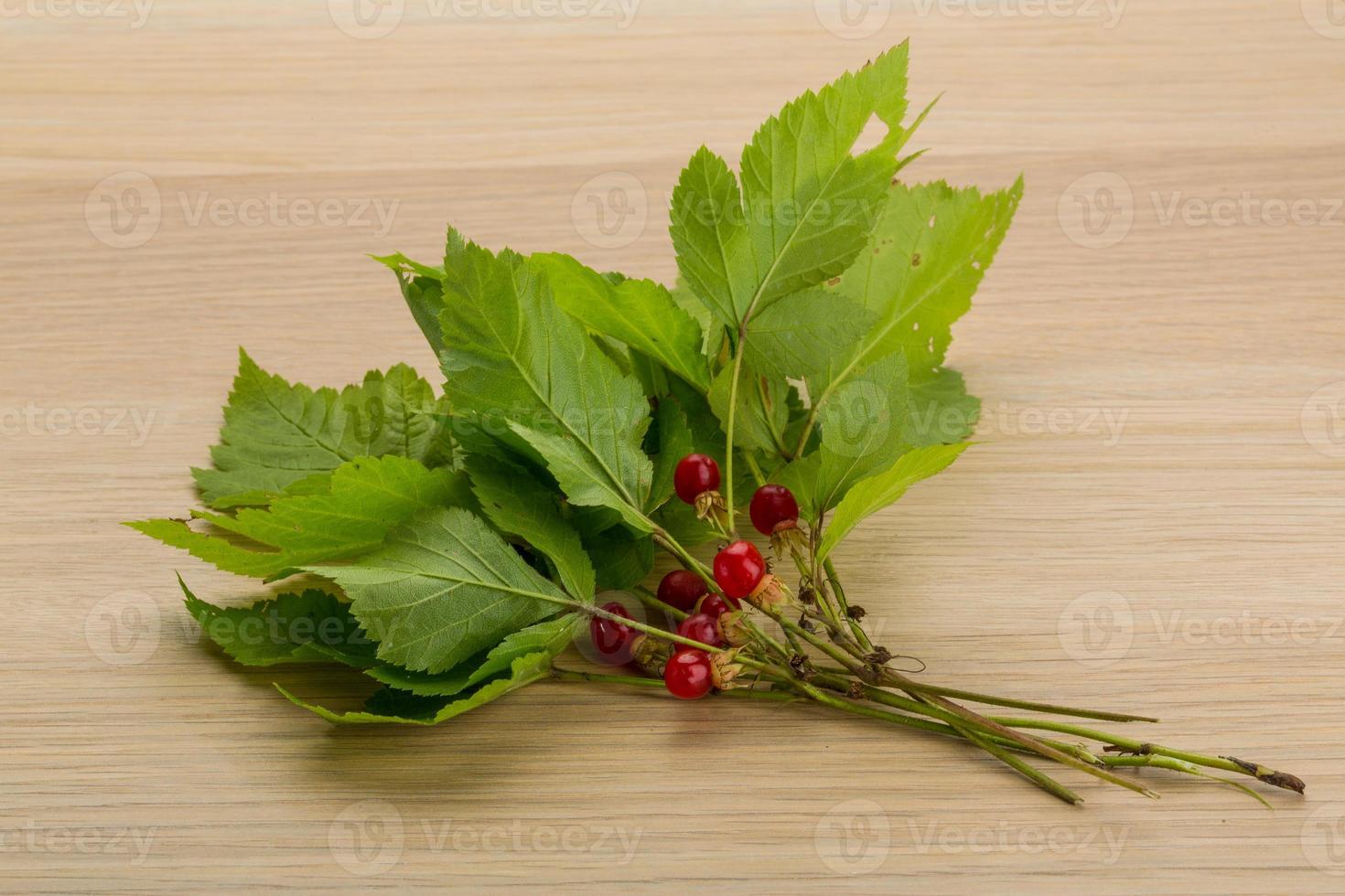 Stone bramble on wooden background photo