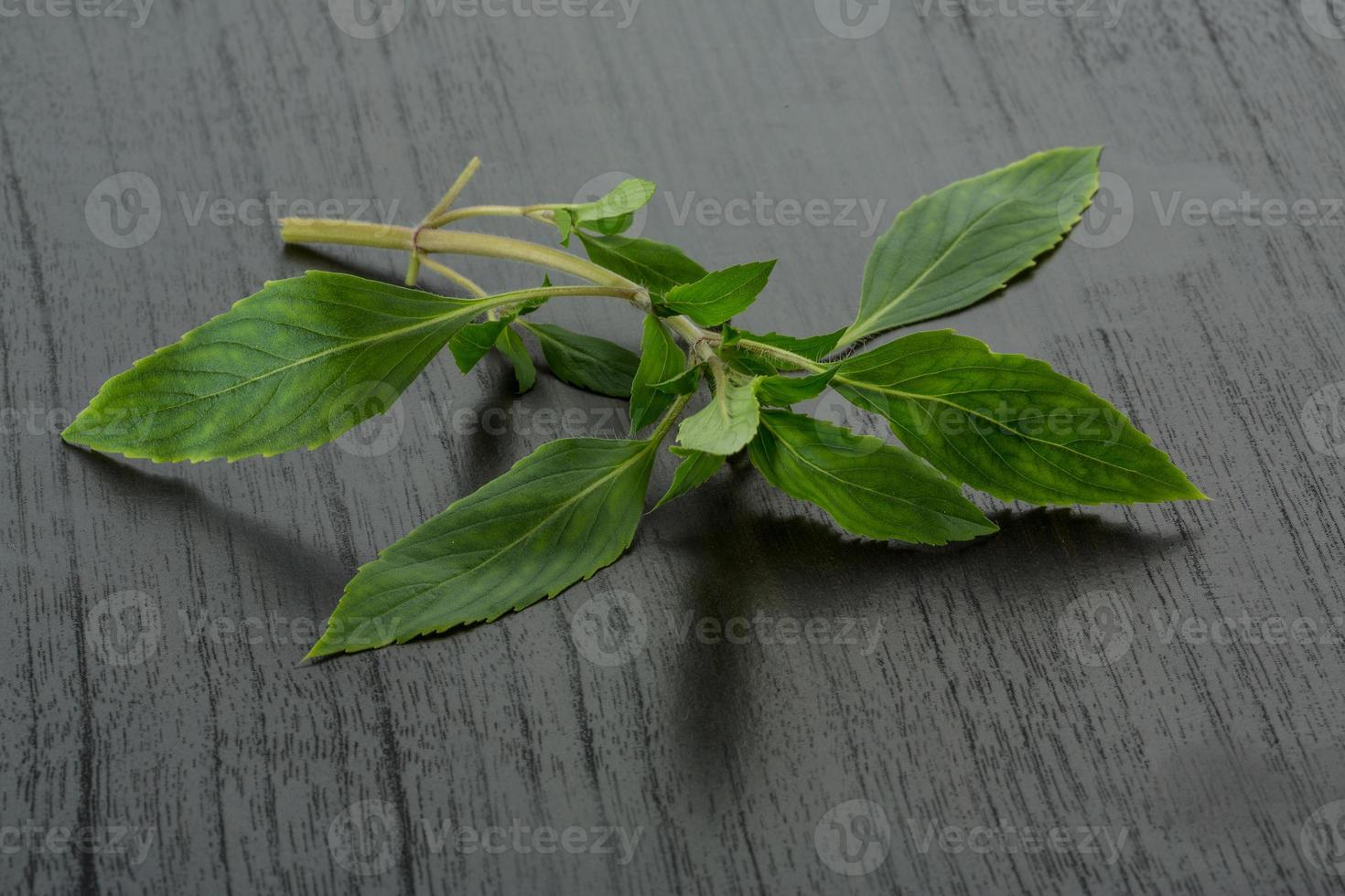 Bergamot leaves on wooden background photo
