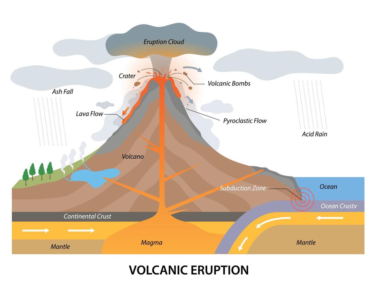 estructura del proceso de erupción volcánica con vista lateral geológica vector