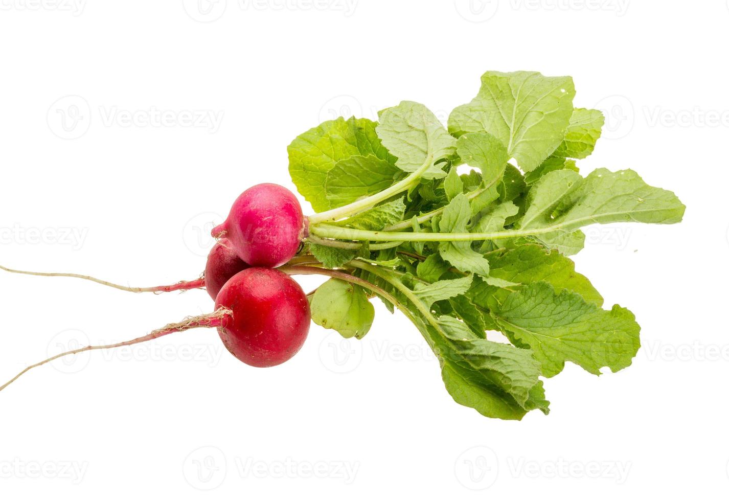 Fresh radish on white background photo