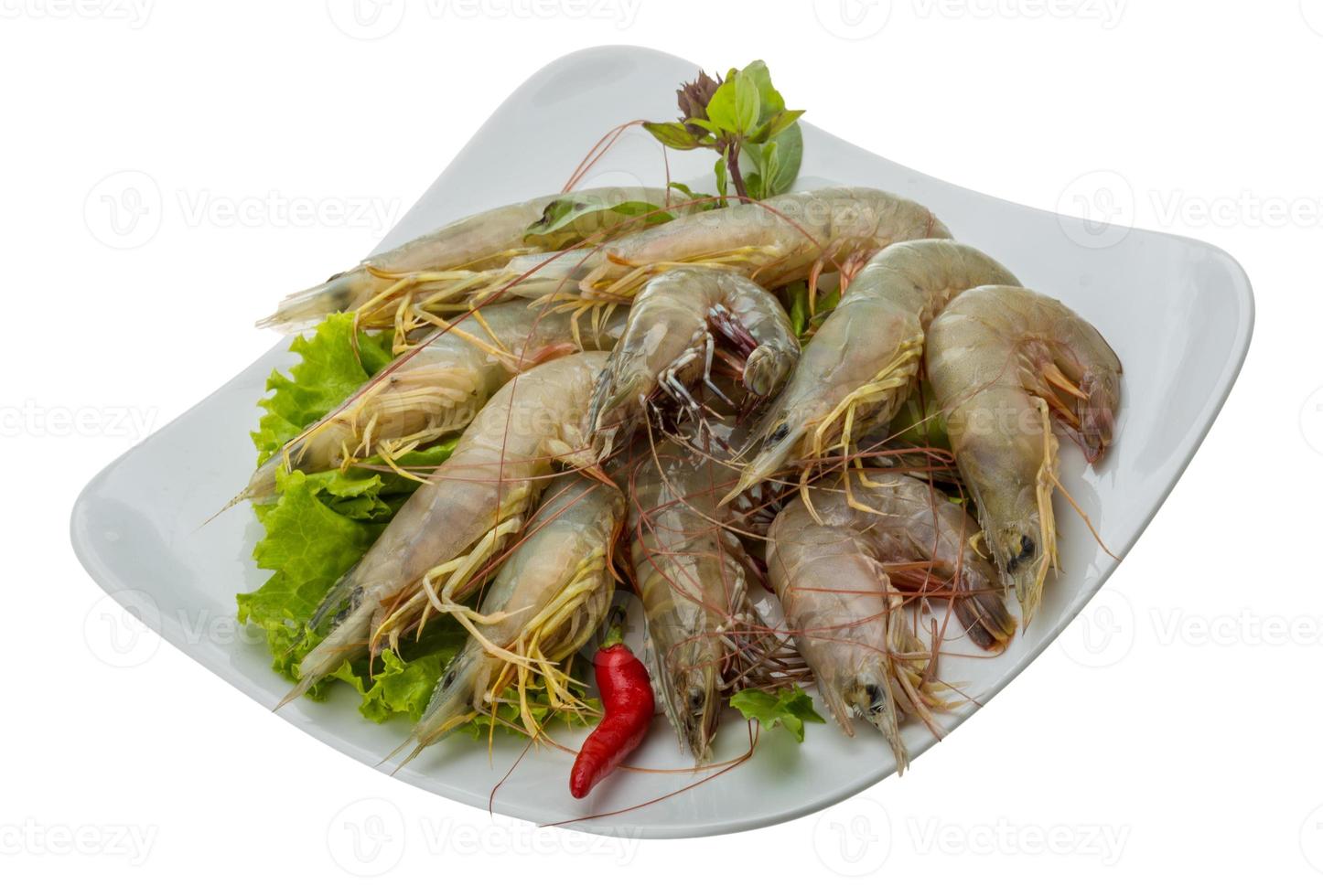 Raw tiger shrimps photo