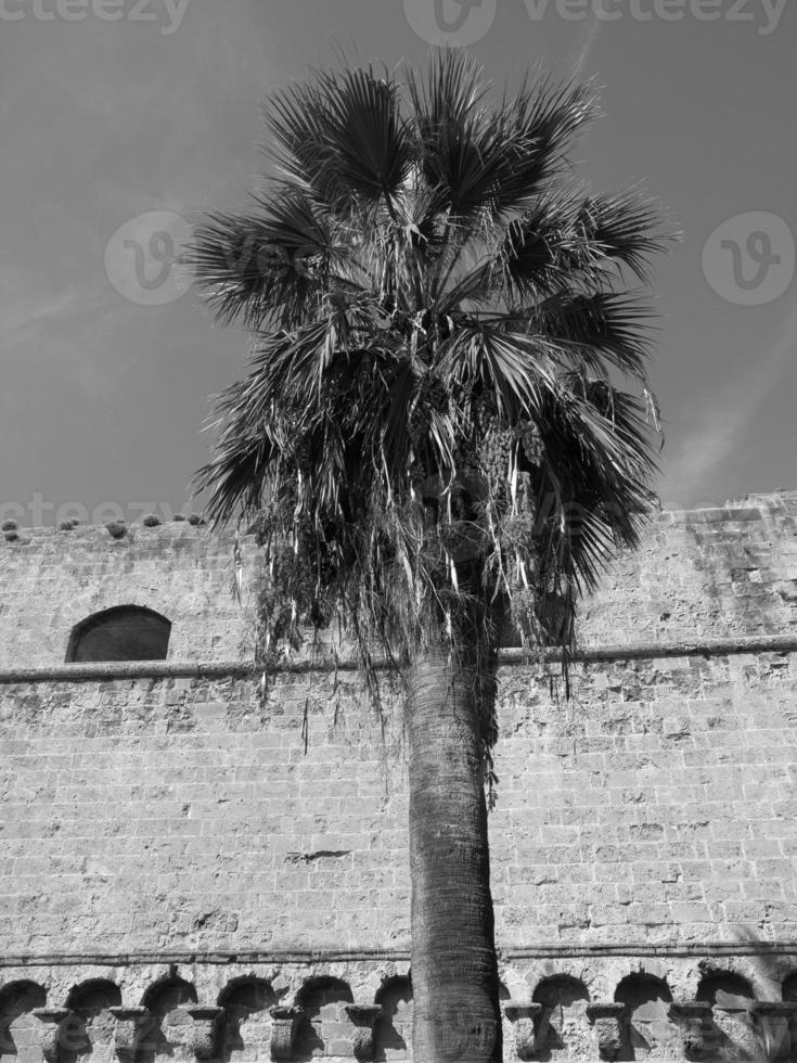 Bari in italy photo