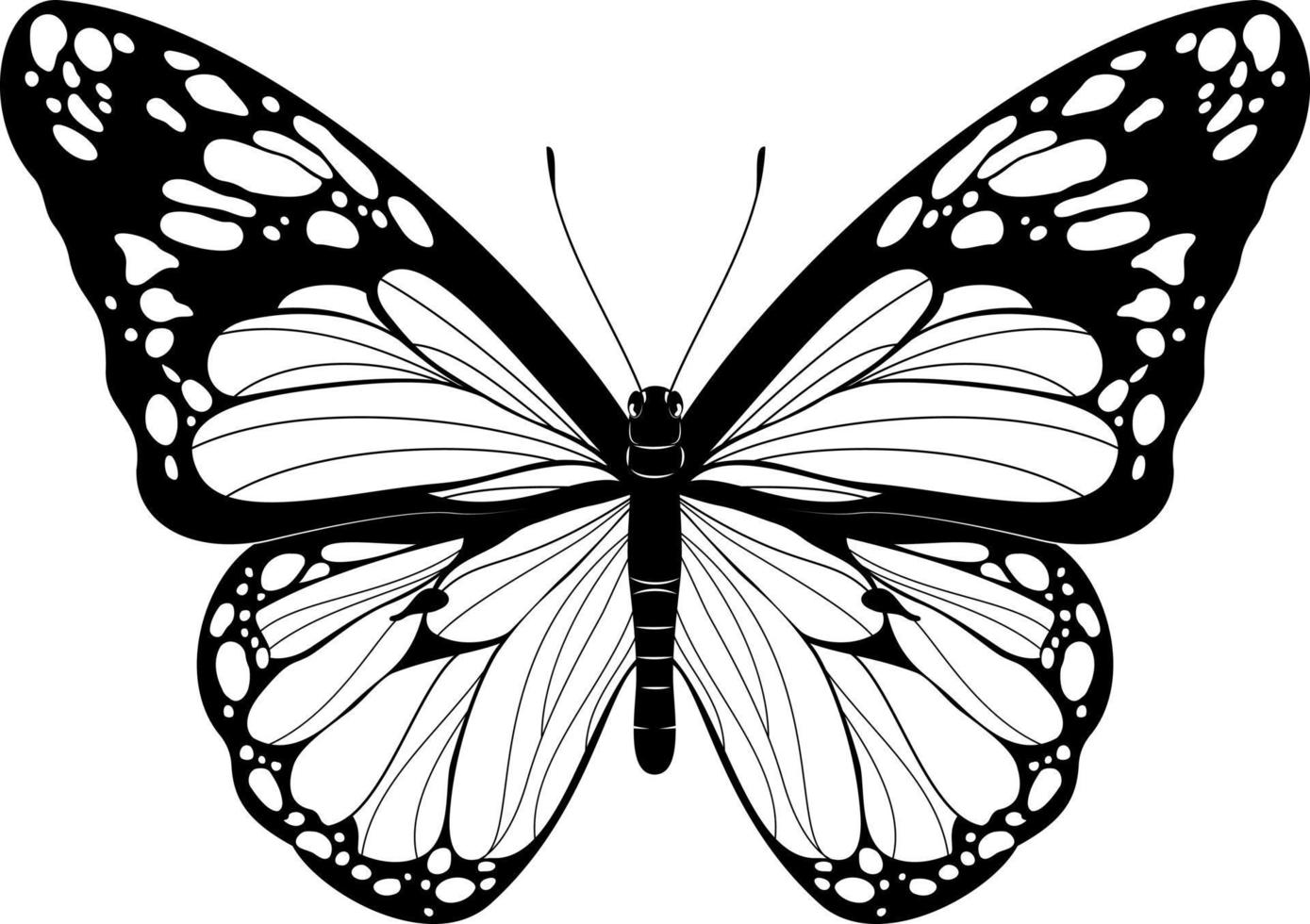 Beautiful Butterfly Black and White Butterfly vector illustration Realistic hand drawn Butterfly