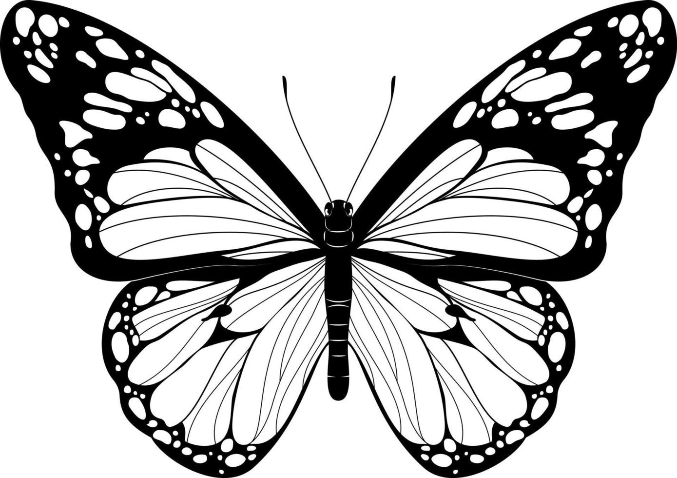 Beautiful Butterfly Black and White Butterfly vector illustration Realistic hand drawn Butterfly