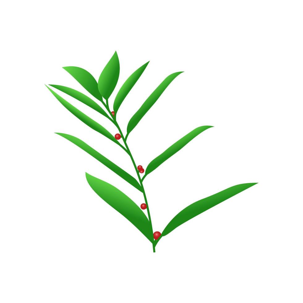 hoja verde - manfaat daun katuk - hojas de plantas vector