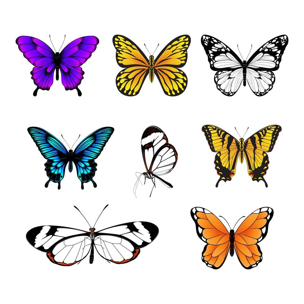 Set of Butterflies - Colorful Butterfly Collection vector