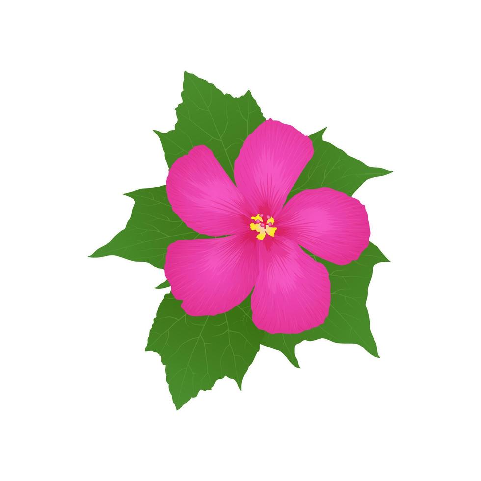 Realistic Pink Hibiscus Flower - Vector Illustration