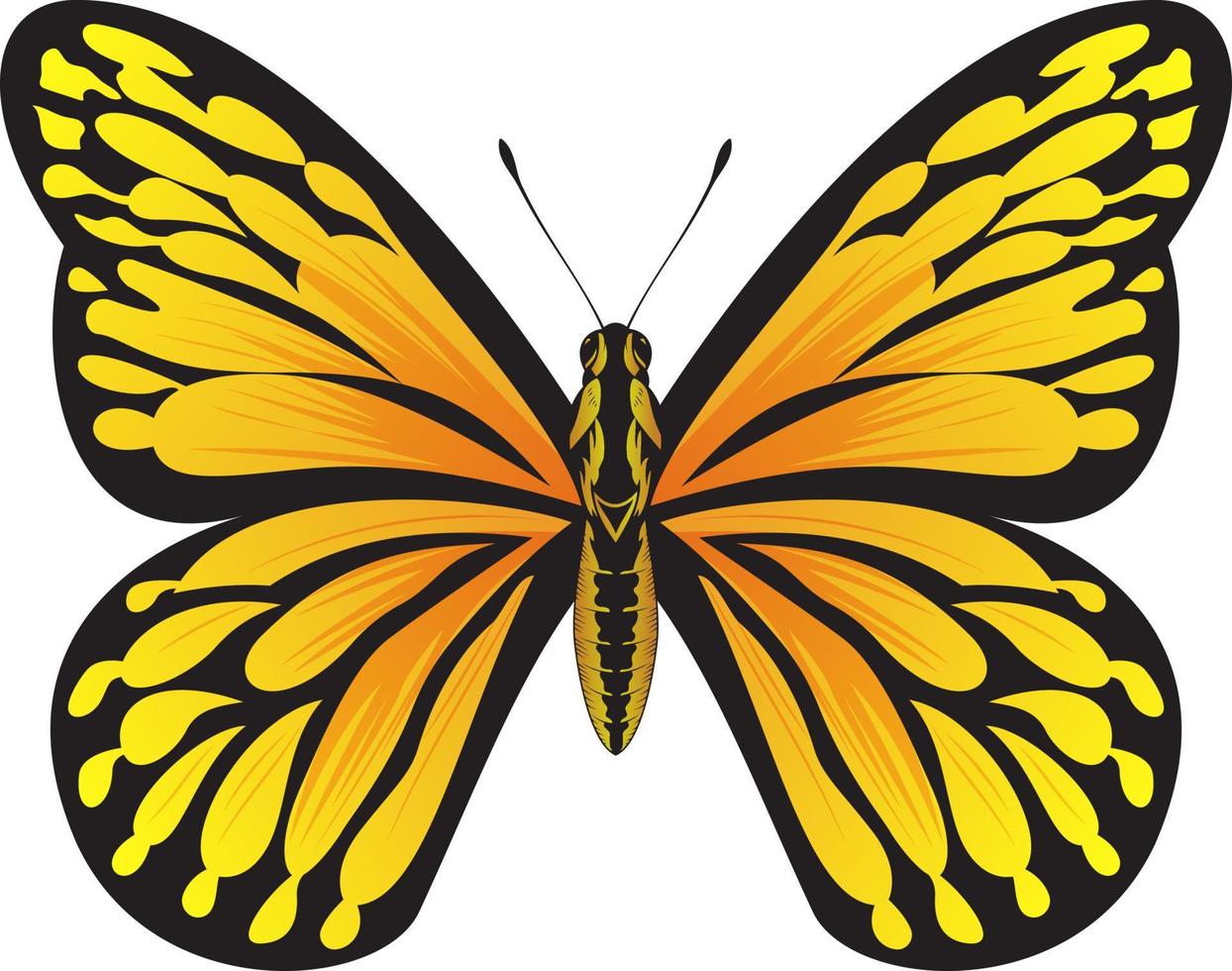 Tropical Orange Butterfly - Beautiful Butterfly vector Illustration