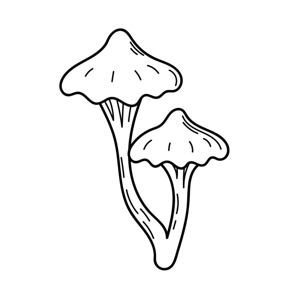 Cute mushroom in doodle style. Poisonous mushroom. Vector isolated hand illustration for coloring pages, sketch, outline