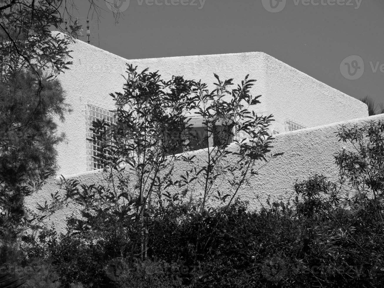 tunis in tunisia photo