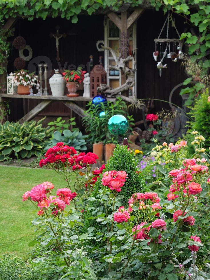 bleeding flowers in a german garden photo