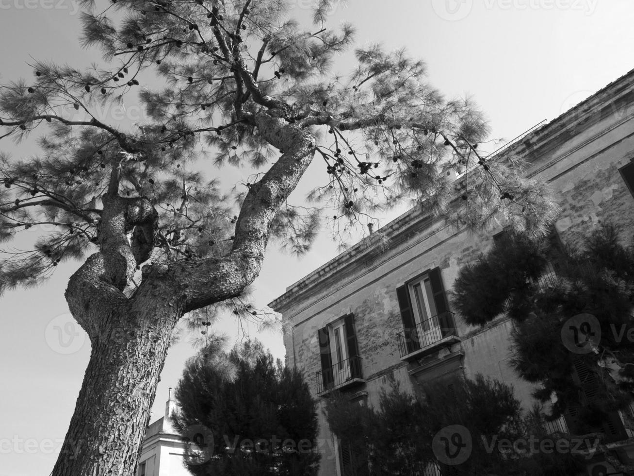 Bari in italy photo