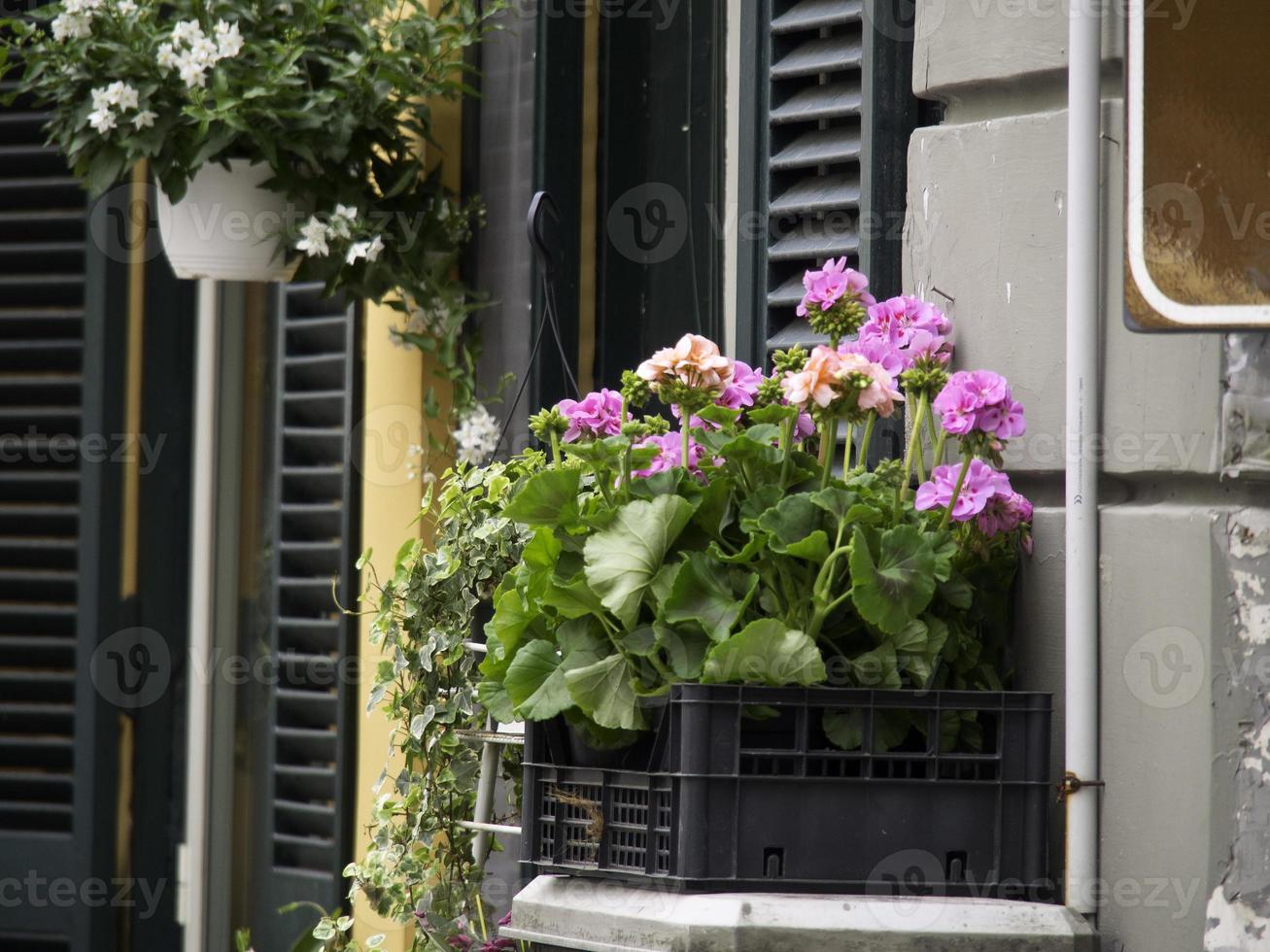 naples in italy photo