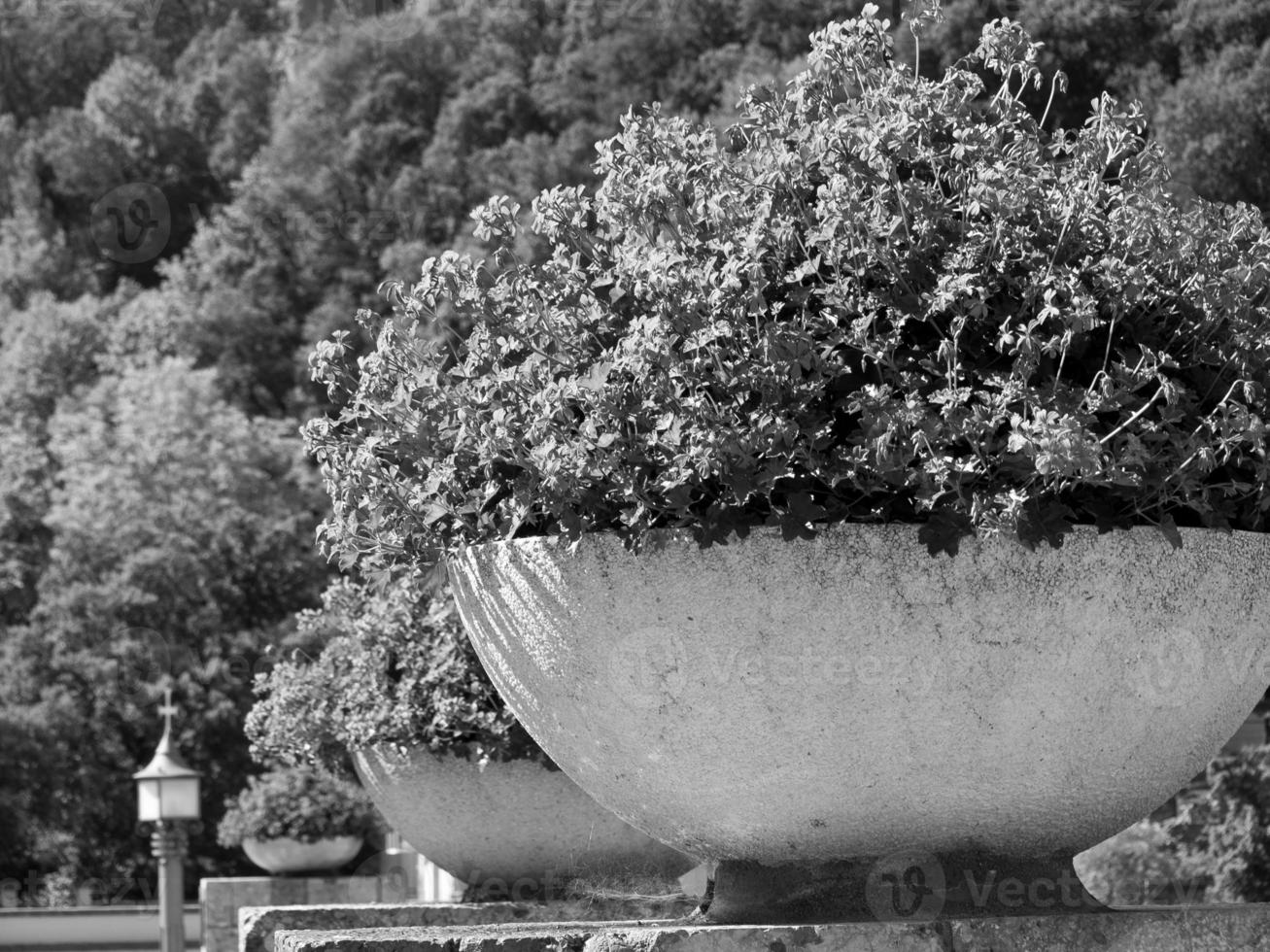 the convent of Montserrat photo