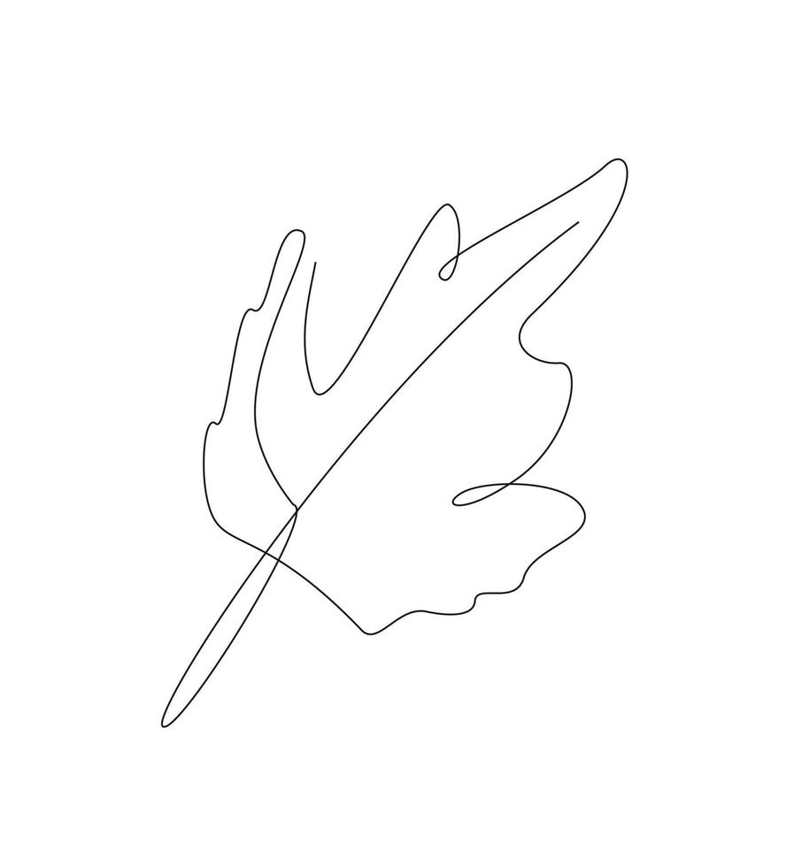 Autumn leaf one line illustration. line art maple leaves. outline vector