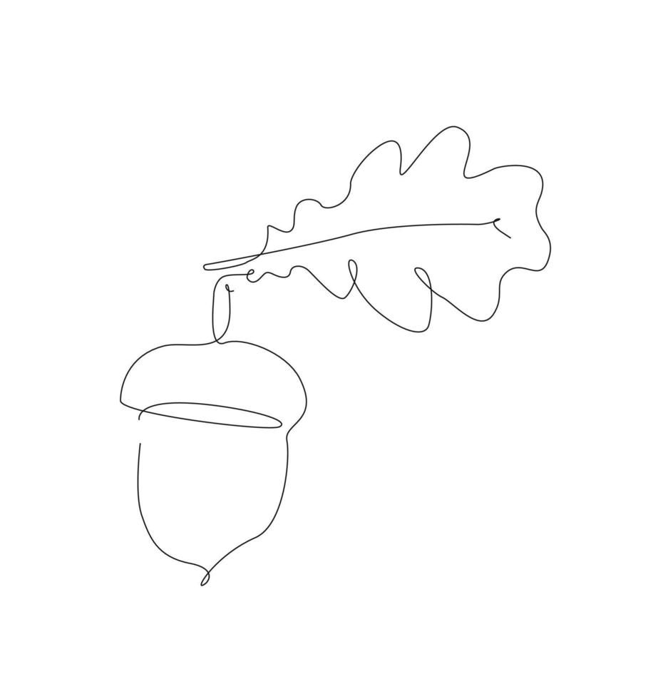 One line acorn with a lief, outline oak lief and seed. acorns line art. vector