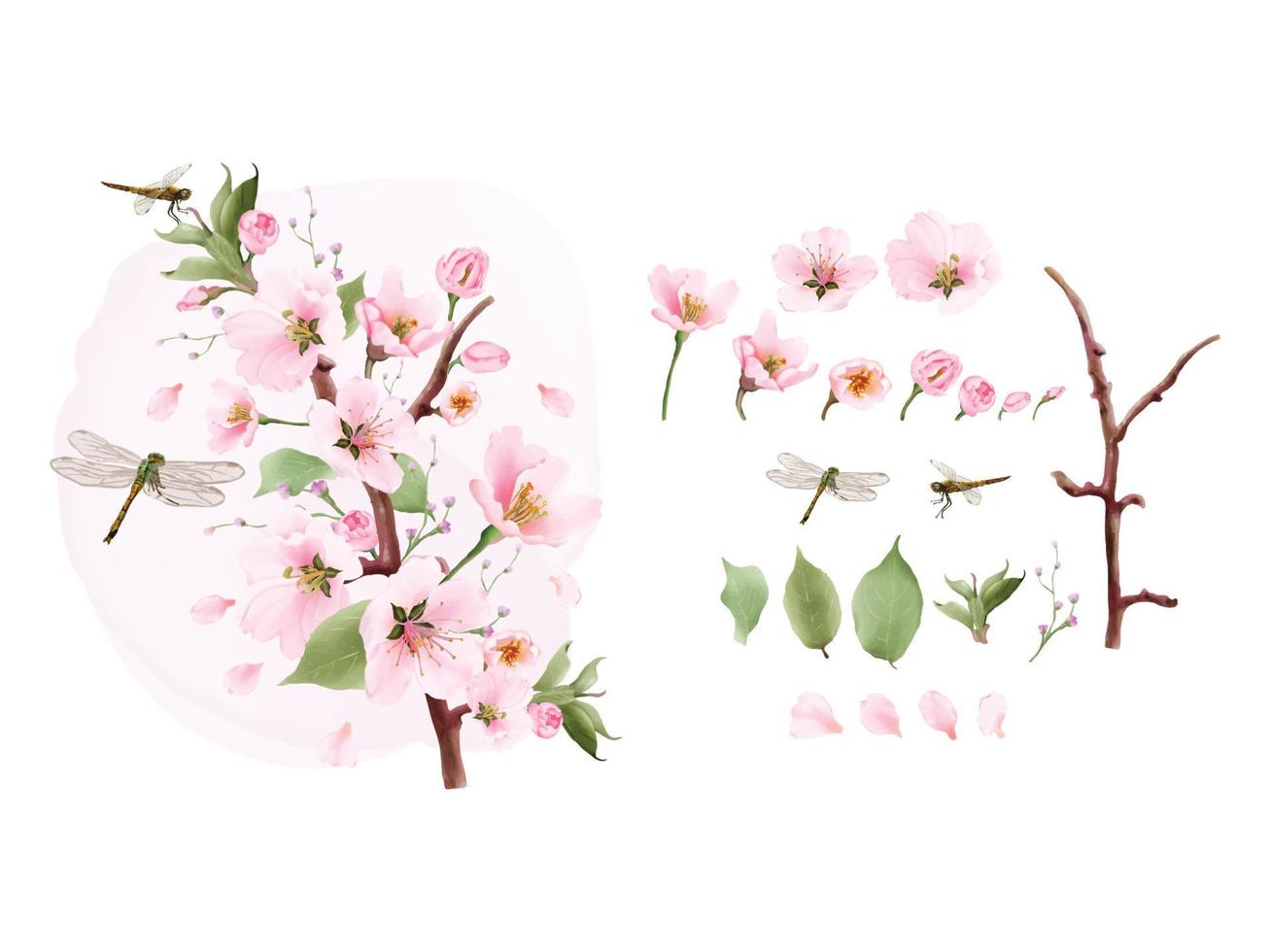 set watercolor elements cherry blossom and dragonfly vector