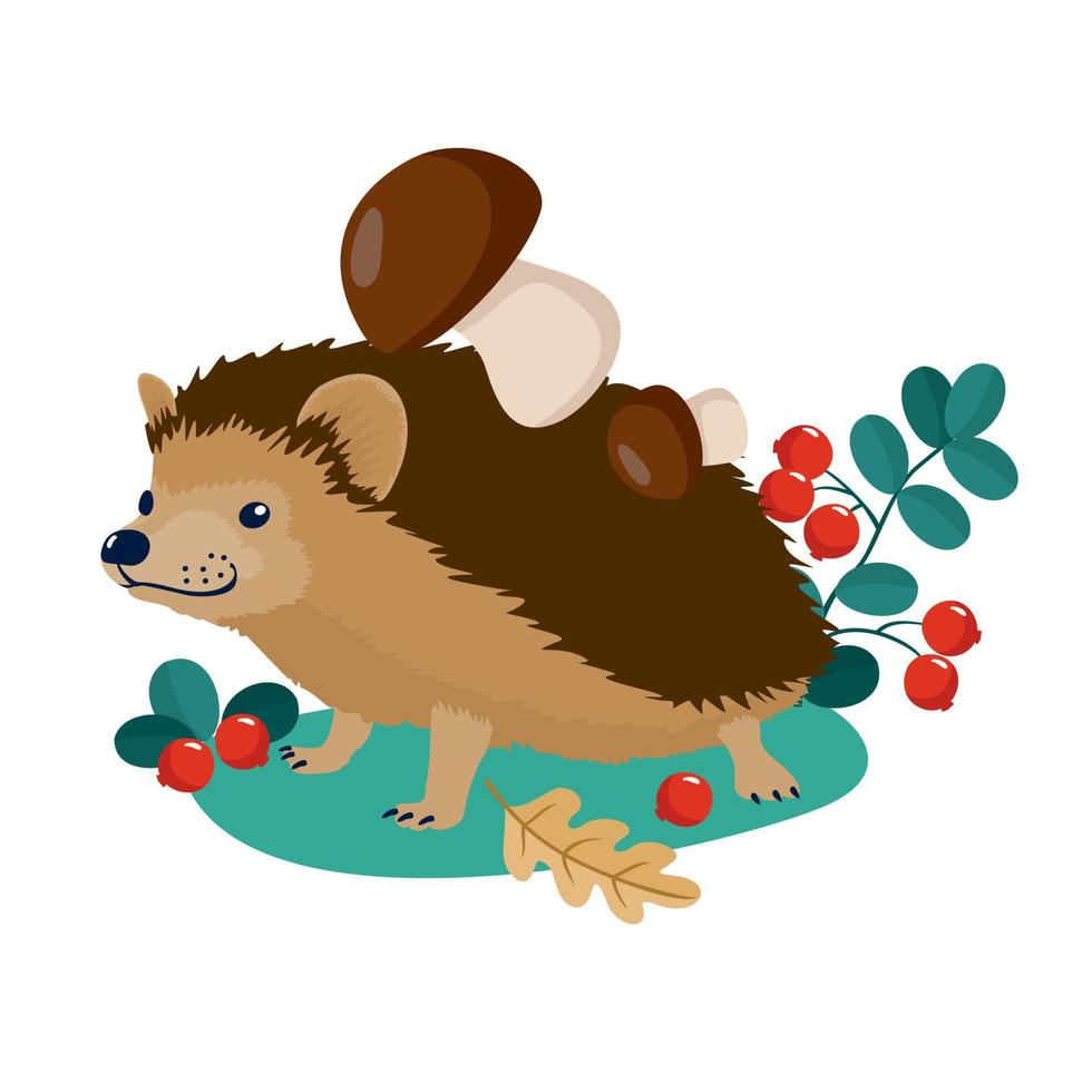 The hedgehog collects mushrooms and berries. vector