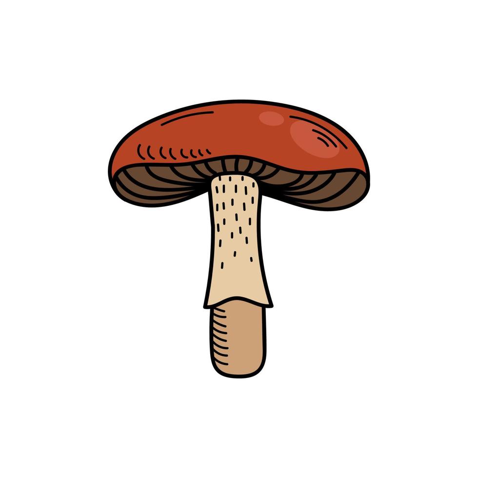Cute mushroom in doodle style. Poisonous mushroom, fly agaric, toadstool. Vector isolated hand illustration