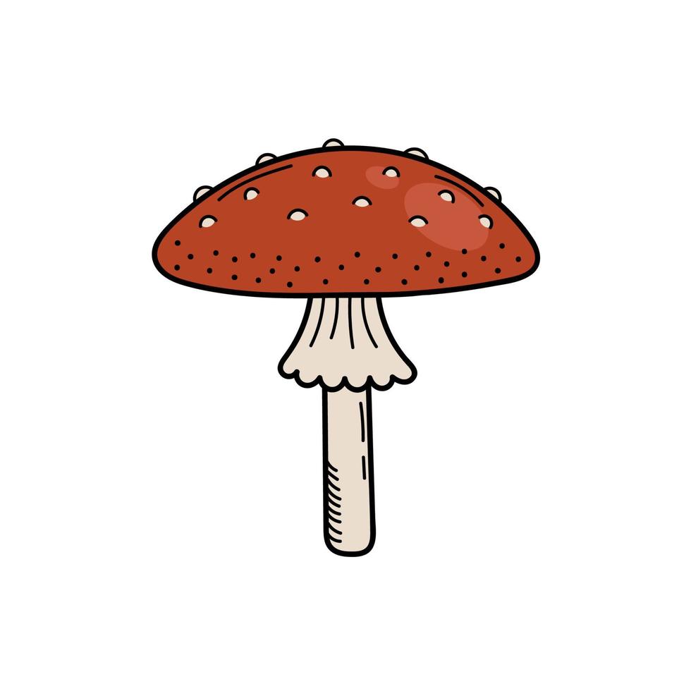 Cute mushroom in doodle style. Poisonous mushroom, fly agaric, toadstool. Vector isolated hand illustration