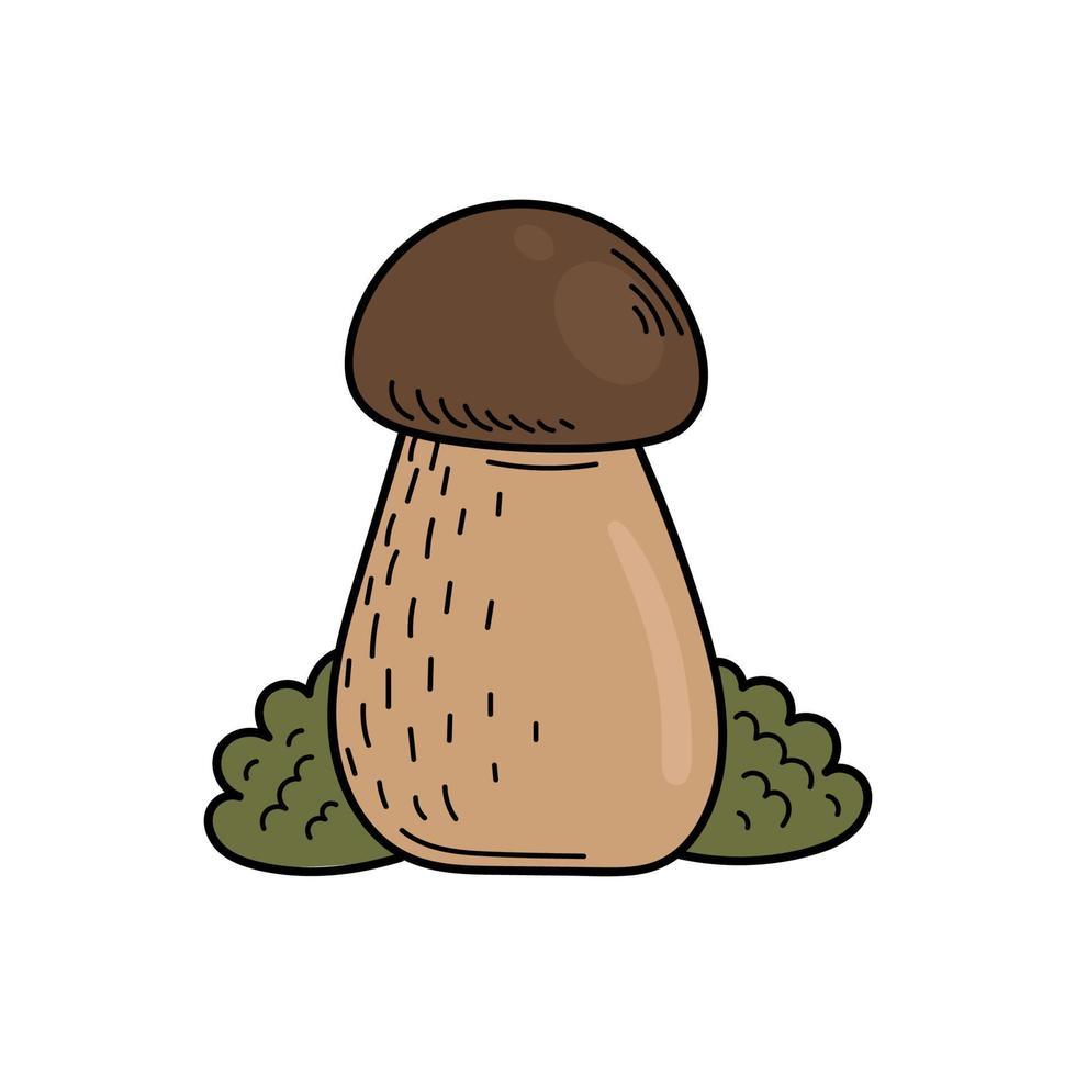 Cute edible mushroom in doodle style. Ingredients for cooking, salads. Autumn plant harvesting. Vector hand illustration