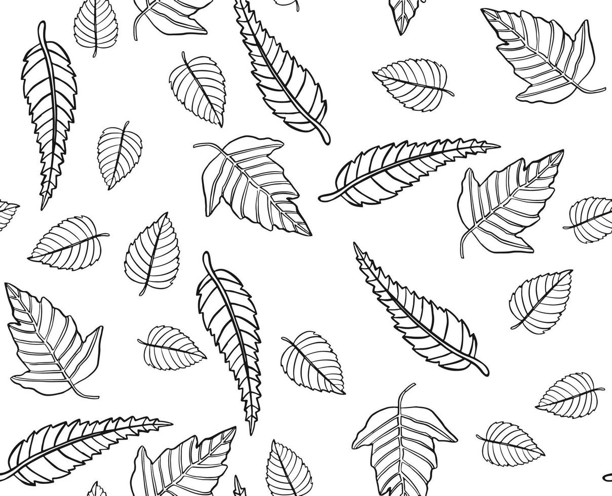Autumn leaves pattern, seamless background and illustration vector