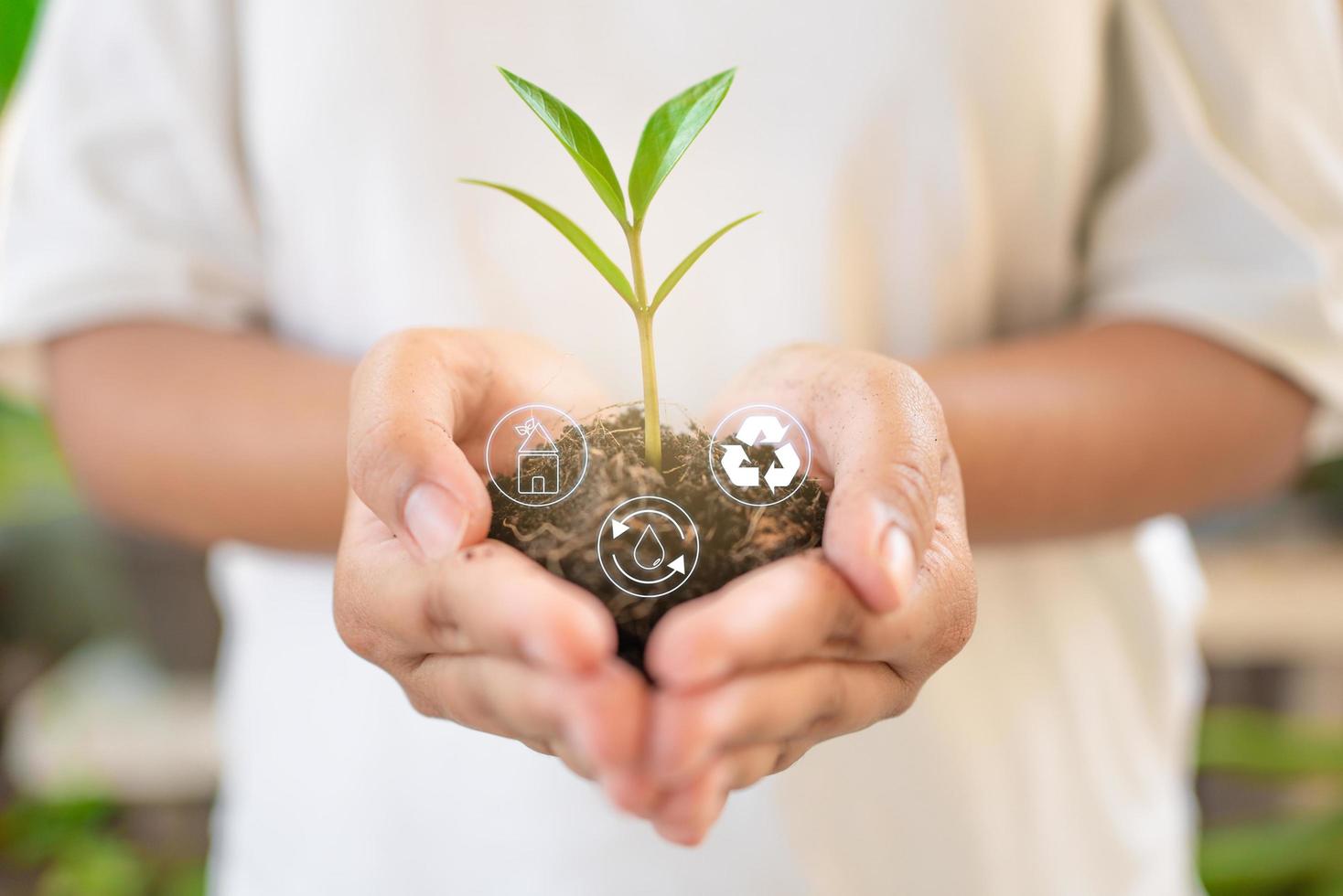 Sustainable development concept of growing tree and make zero waste photo
