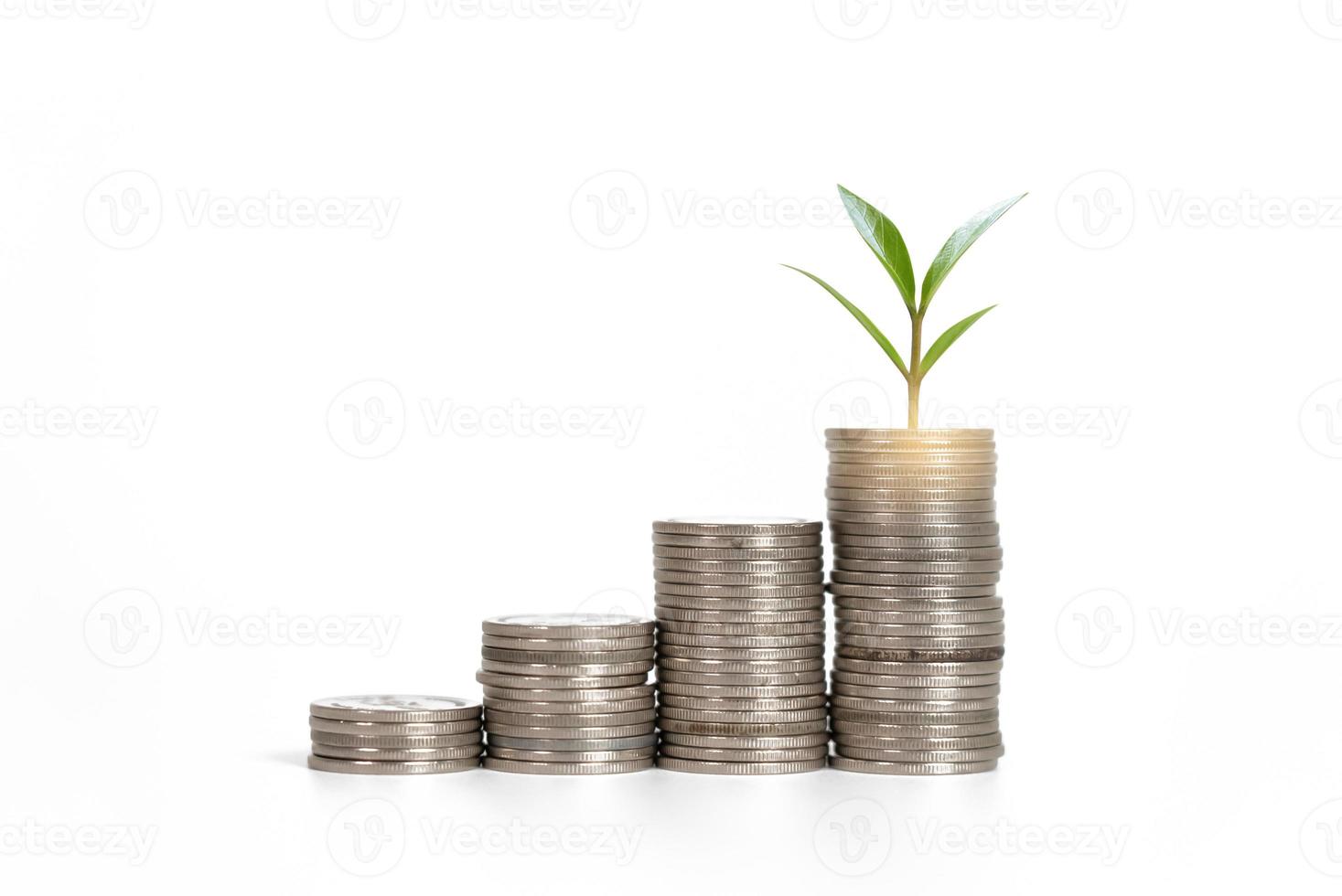 Saving money in jars and plant represent the growing more amount - isolated. photo