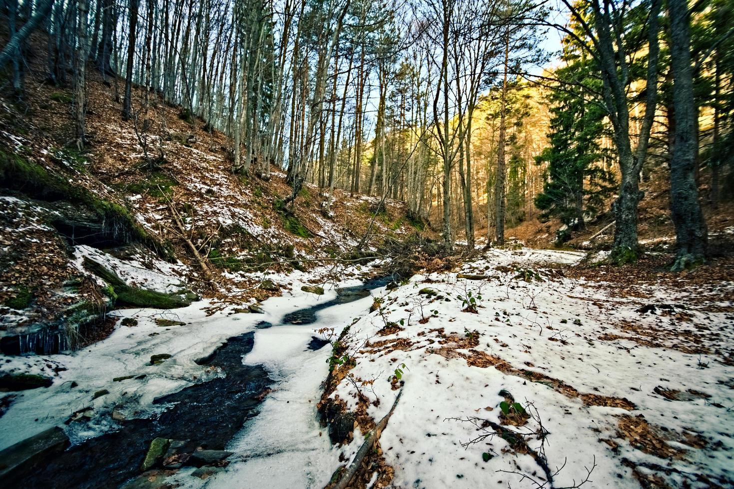 río en la montaña foto