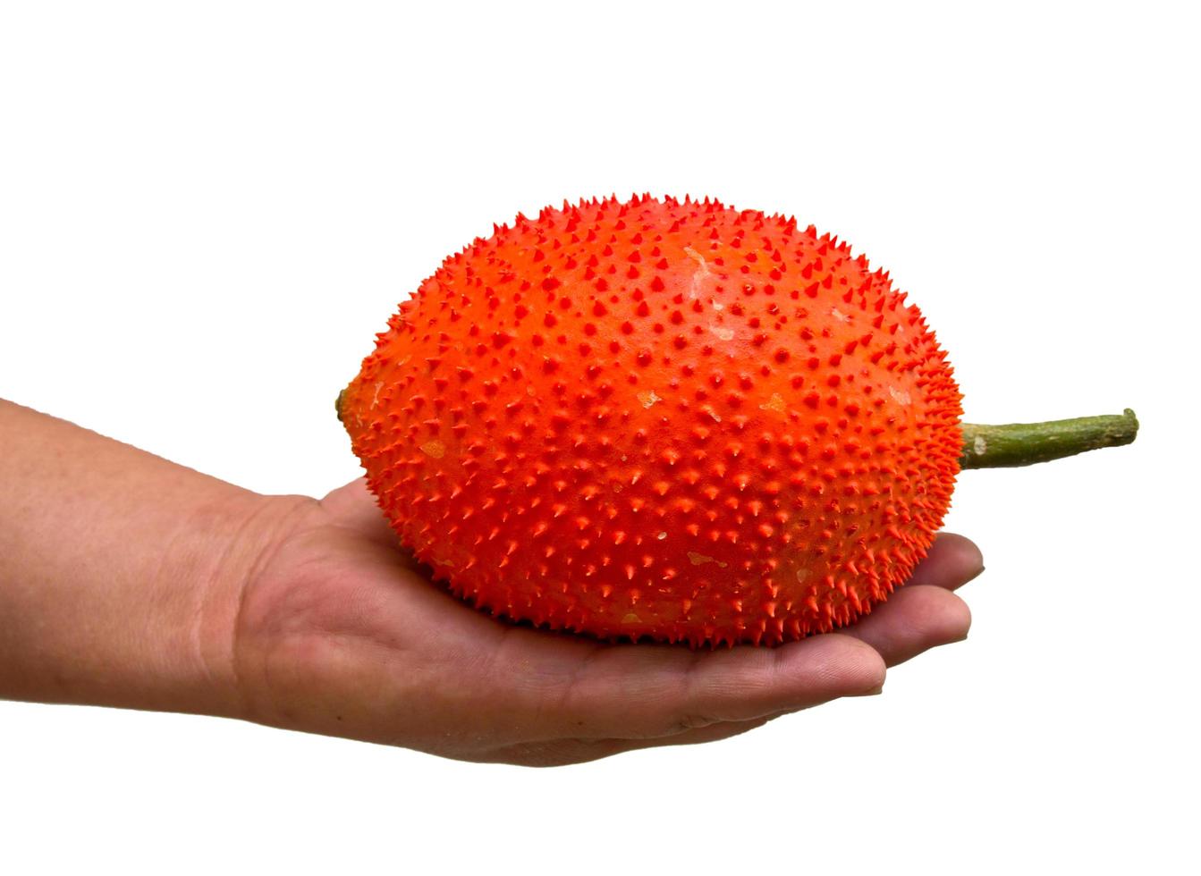 Momordica cochinchinensis Spreng.commonly know as Gac, Baby Jackruit, Spiny Bitter Gourd, Sweet Grourd or Cochinchin Gourd. Very delicious and medicinal properties photo