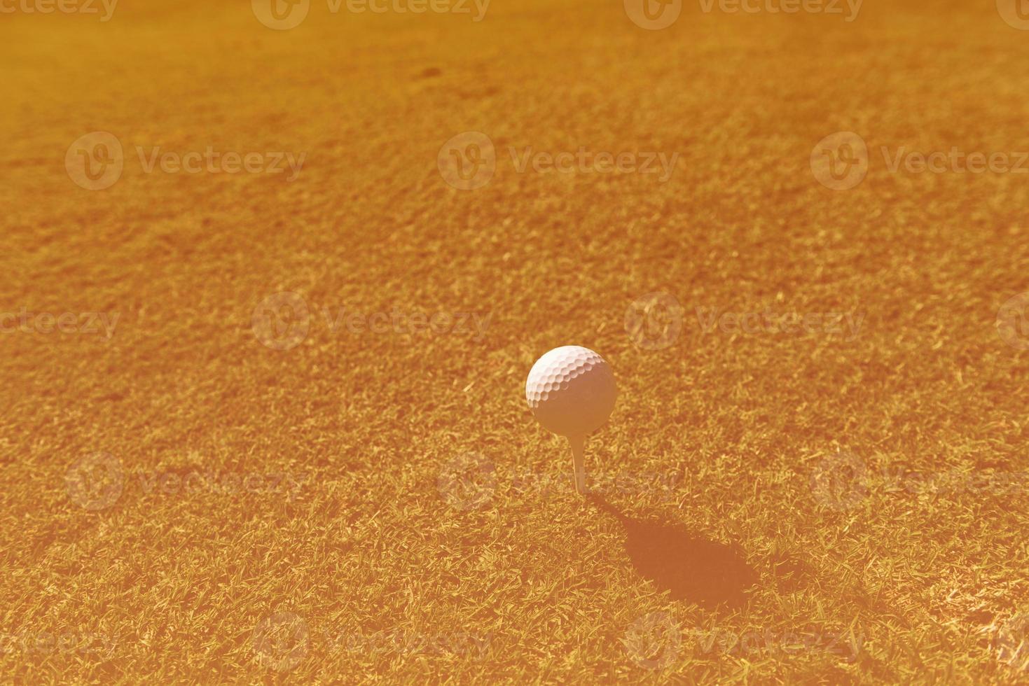 golf ball on tee photo