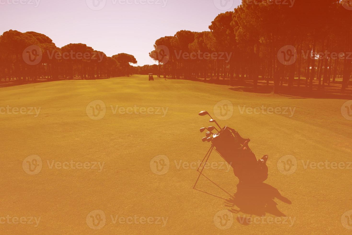 golf bag on course photo