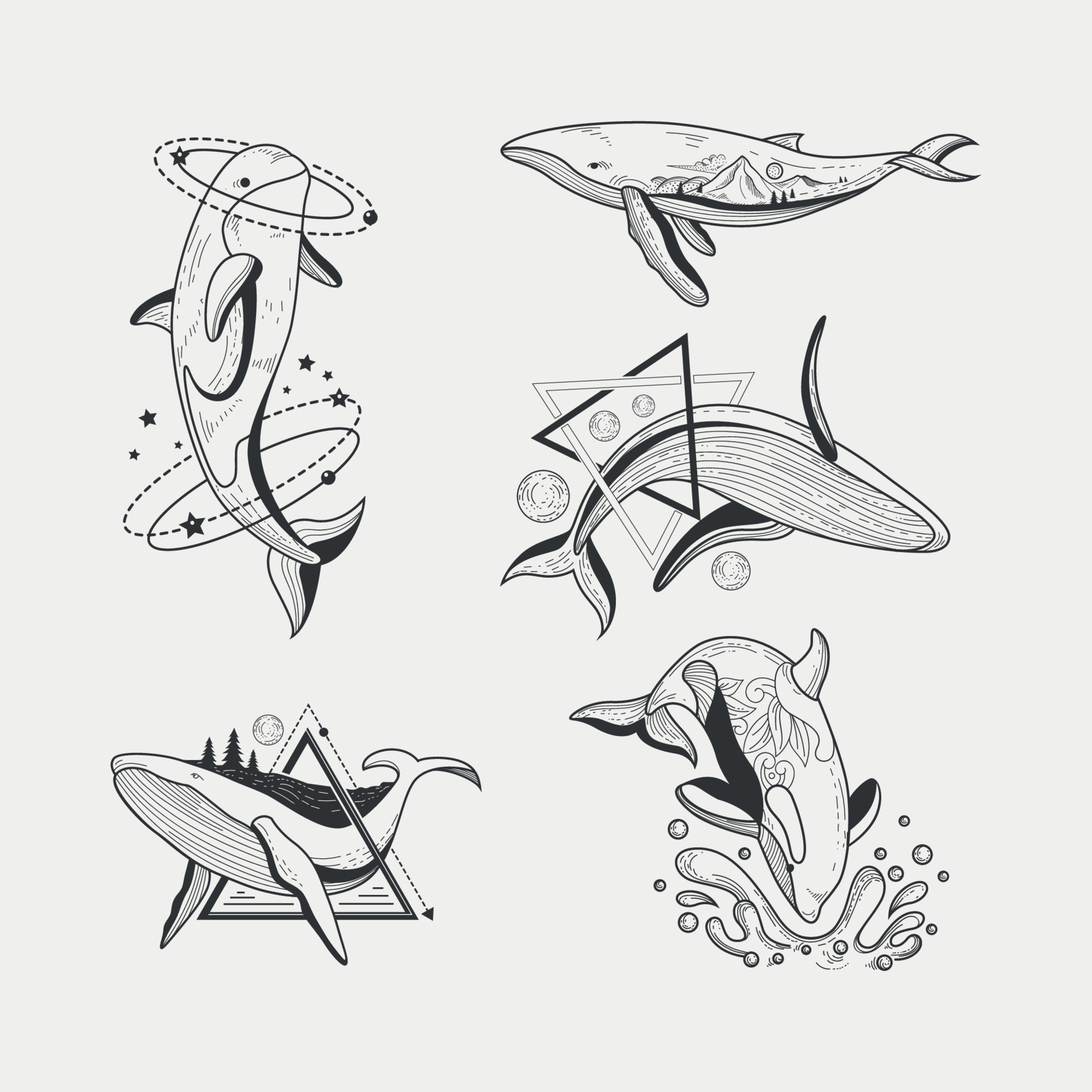 Premium Vector  Drawing of a whale minimalism whale logo killer whale  tattoo sketch coloring page sea dweller