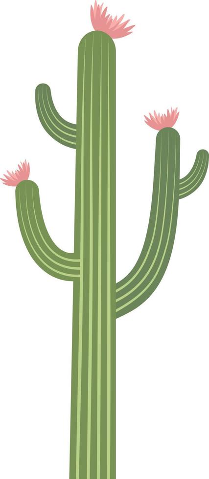 ilustración vectorial de cactus vector