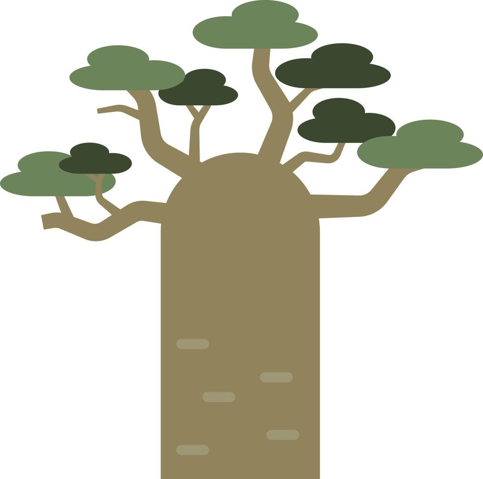 baobab tree illustration vector