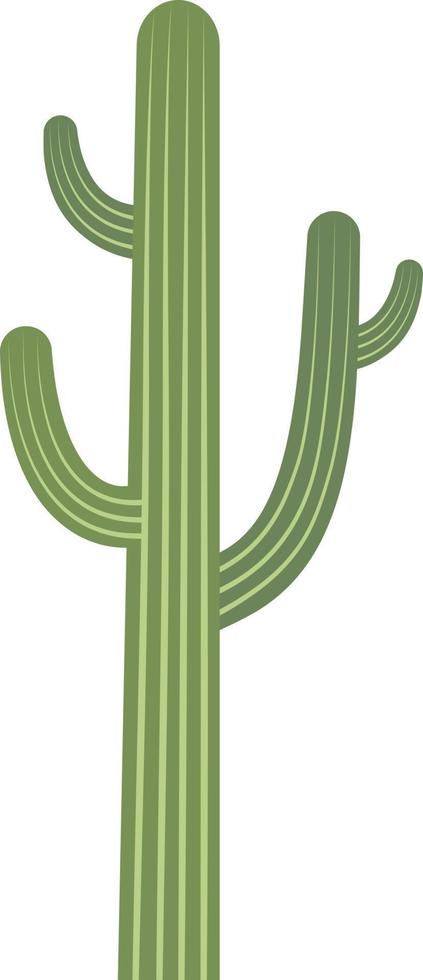 cactus vector illustration