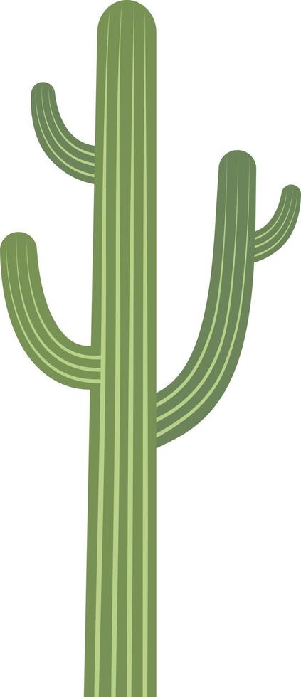 ilustración vectorial de cactus vector