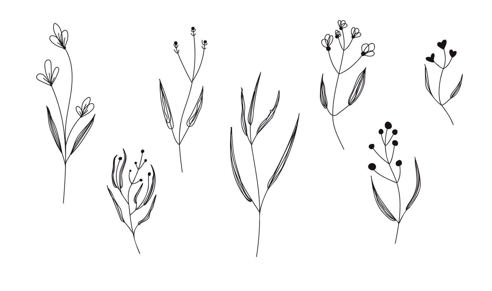 Set of vector graphic chamomile flowers in line-art style.