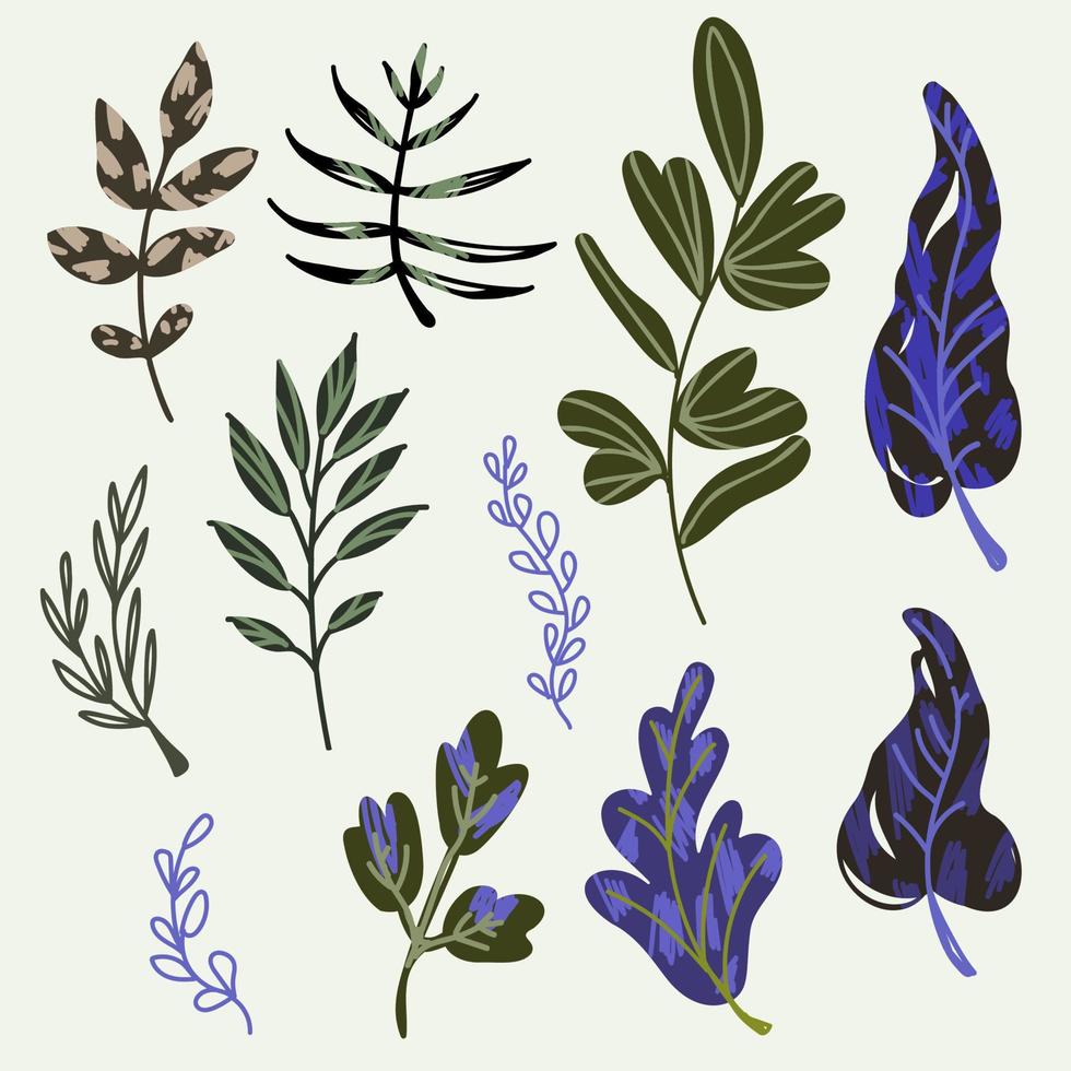 A set of plants in the doodle style. Vector illustration.