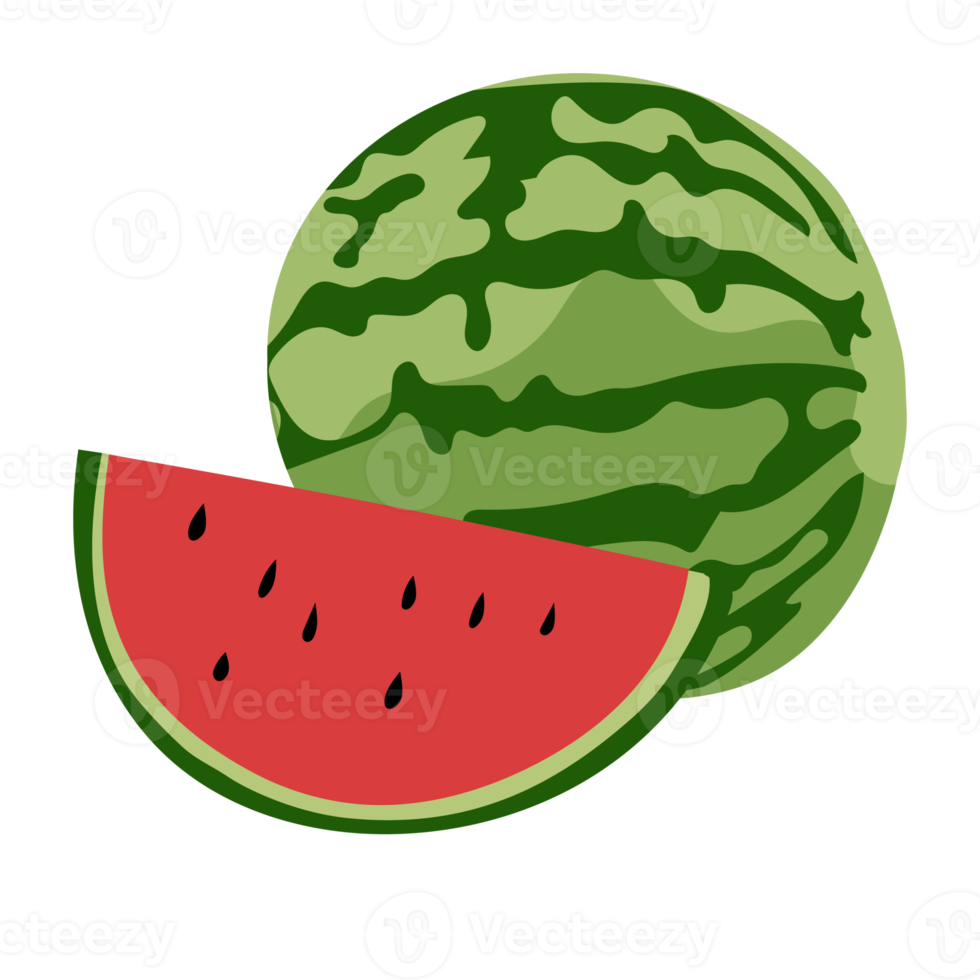 watermeloen fruit. fruit in een gemakkelijk illustratie met helling kleur png