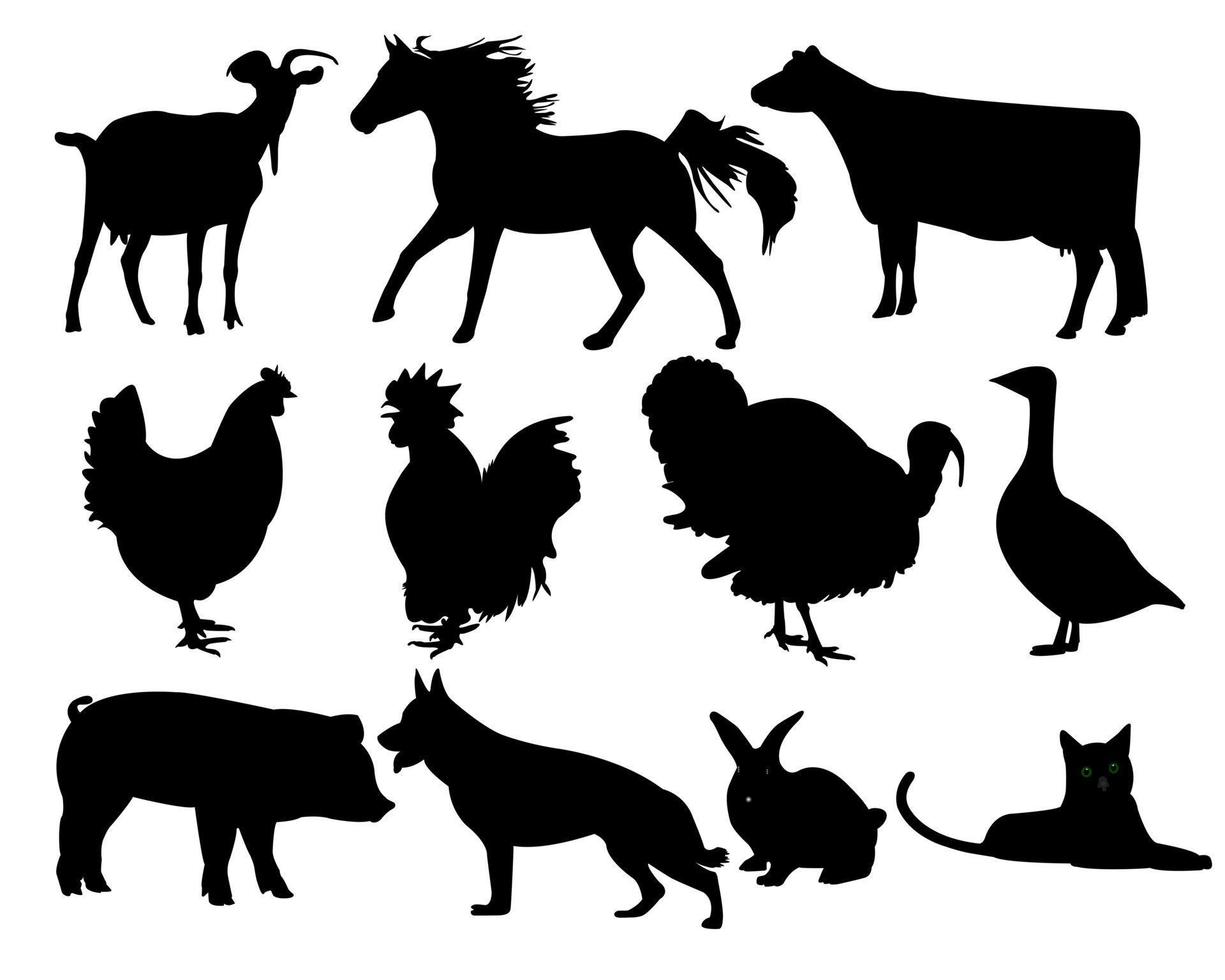 pets and livestock on a white background vector