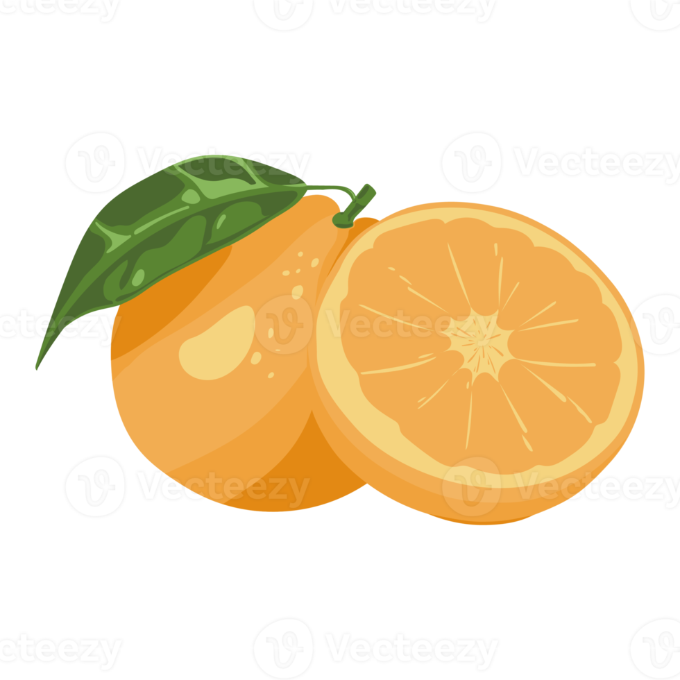 fruta laranja. fruta em uma ilustração simples com cor degradê png