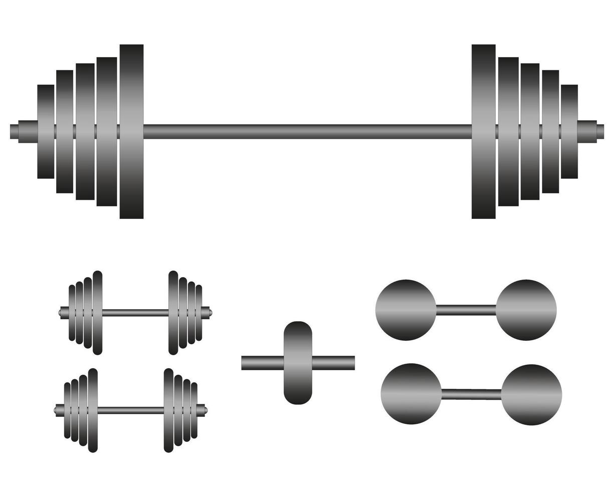 barbells and dumbbells for exercise on a white background vector